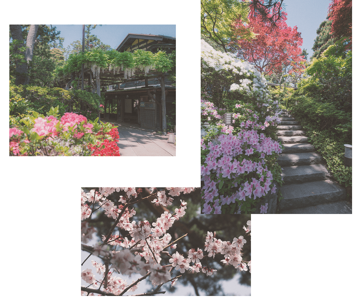 冬の庭 春の庭 夏の庭